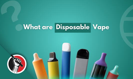 What are Disposable Vapes?