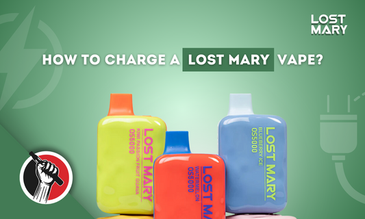 How to Charge a Lost Mary Vape